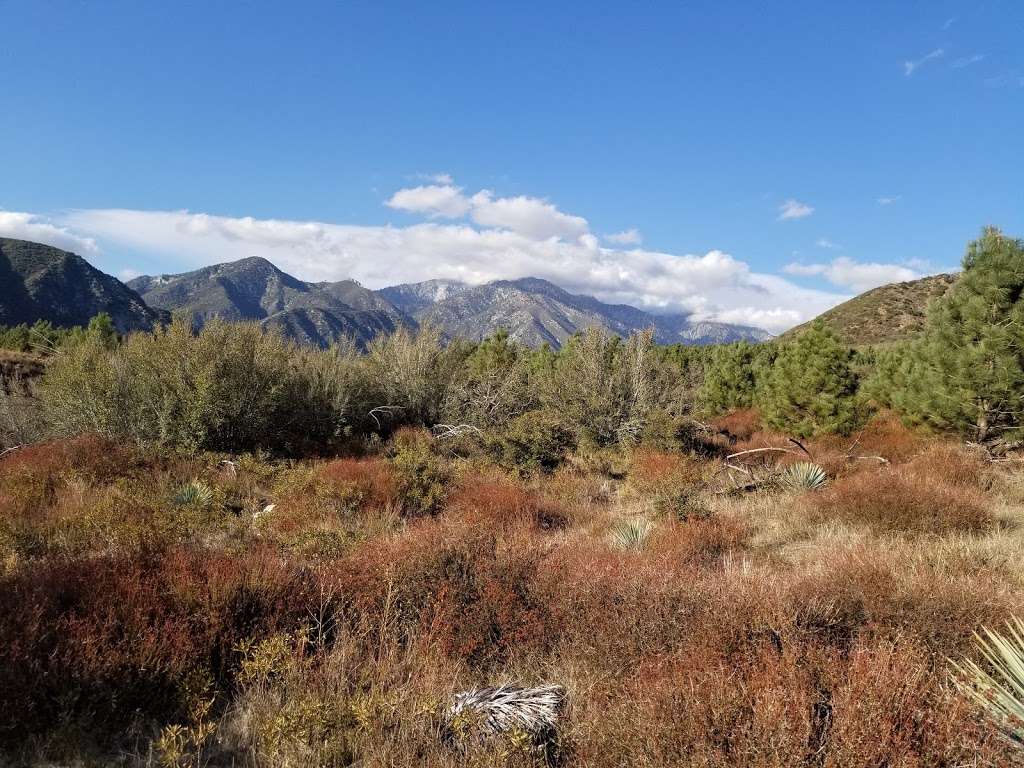 Mt. Baldy Wilderness Preserve | Angeles National Forest San Gabriel Mountains National Monument, Barrett Stoddard Truck Trail, Claremont, CA 91711, USA | Phone: (626) 815-1019