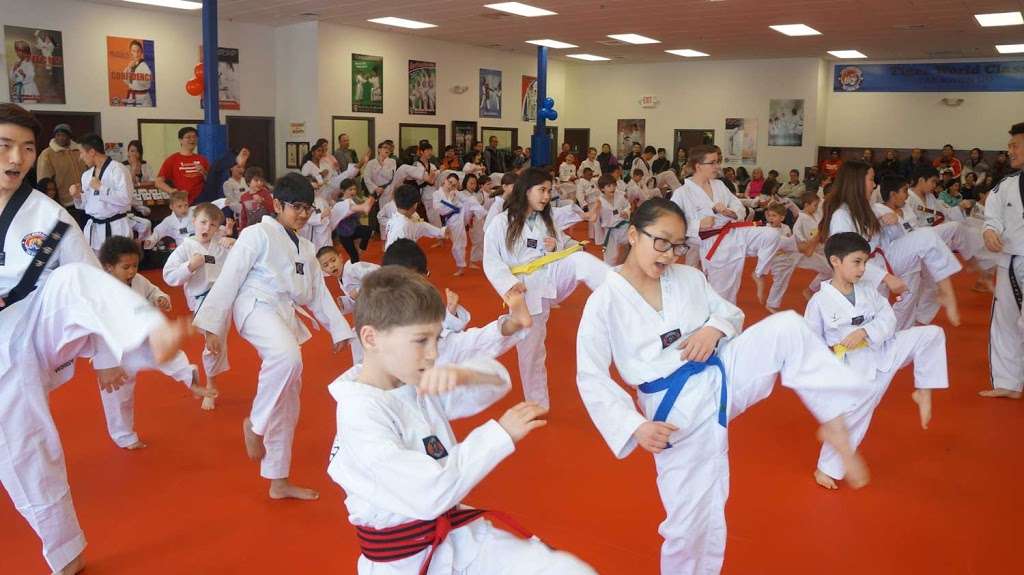 Tiger World Class Tae Kwon Do & Family Martial Arts | United States, Maryland, Ellicott City, Resort Road, Suite 104 | Phone: (443) 377-0050