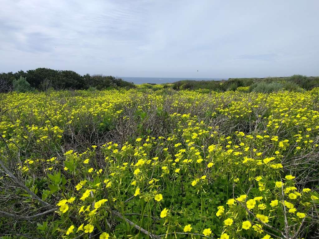 Los Trancos Canyon | Crystal Cove Trail, Newport Beach, CA 92657, USA