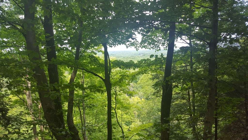 Trevlac Bluffs Nature Preserve | IN-45, Nashville, IN 47448, USA | Phone: (812) 336-5382