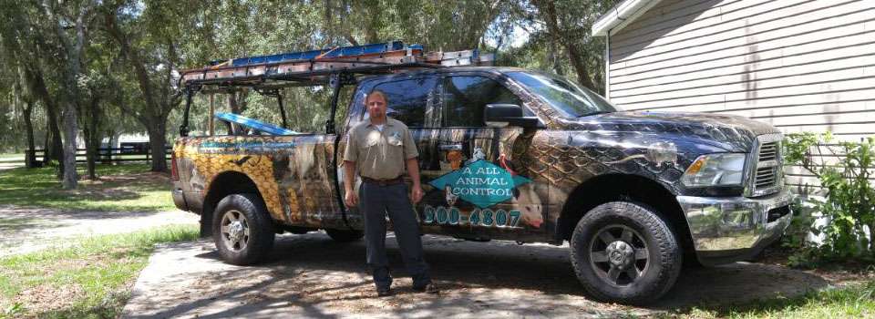 AAAC Wildlife Removal of Orlando | 4530 S Orange Blossom Trail #622, Orlando, FL 32839, USA | Phone: (407) 476-0704