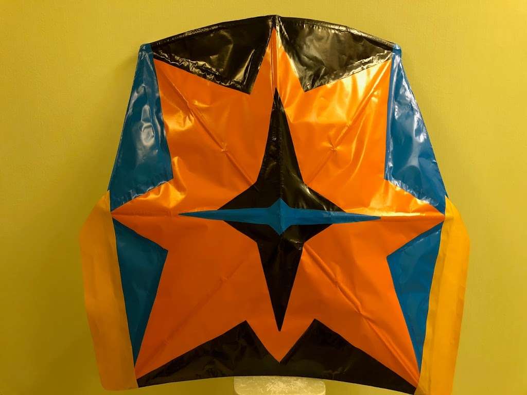 Fly Ringo Kite | Haverstraw, NY 10927, USA | Phone: (201) 232-5180