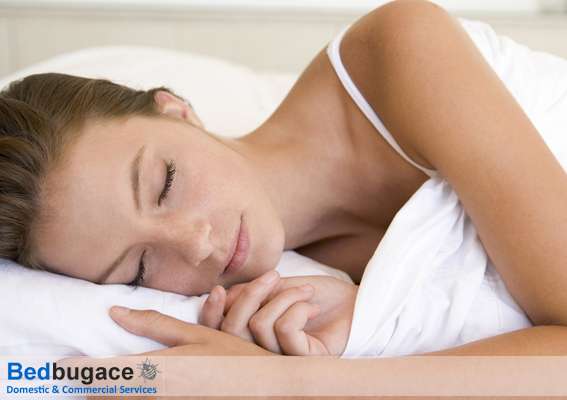 Bedbugace | 52 Pound Rd, Banstead SM7 2HU, UK | Phone: 07342 940195