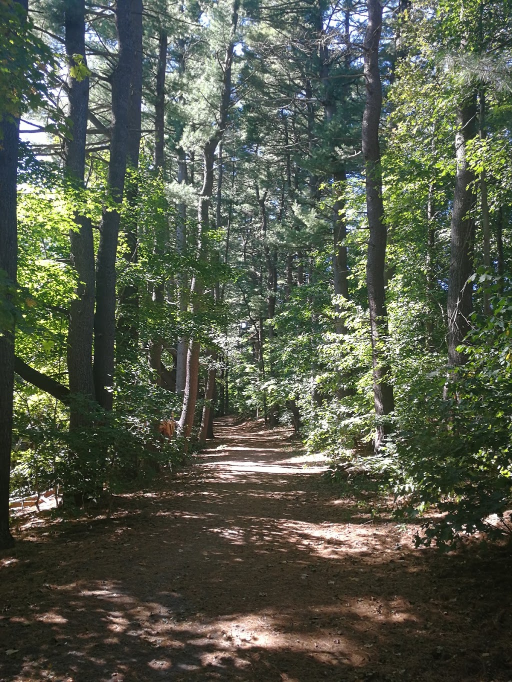 The Tony Anniballi Memorial Park | Natick, MA 01760, USA