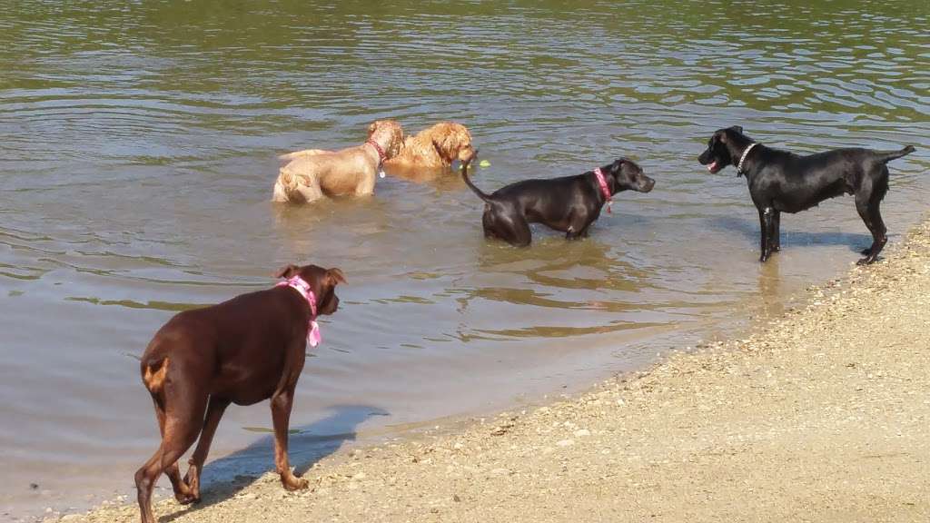 Prairie Wolf Dog Park | 1917-2075 S Waukegan Rd, Lake Forest, IL 60045, USA | Phone: (847) 367-6640