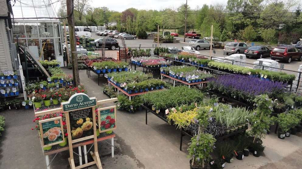 Halls Garden Center & Florist | 700 Springfield Ave, Berkeley Heights, NJ 07922, USA | Phone: (908) 665-0331