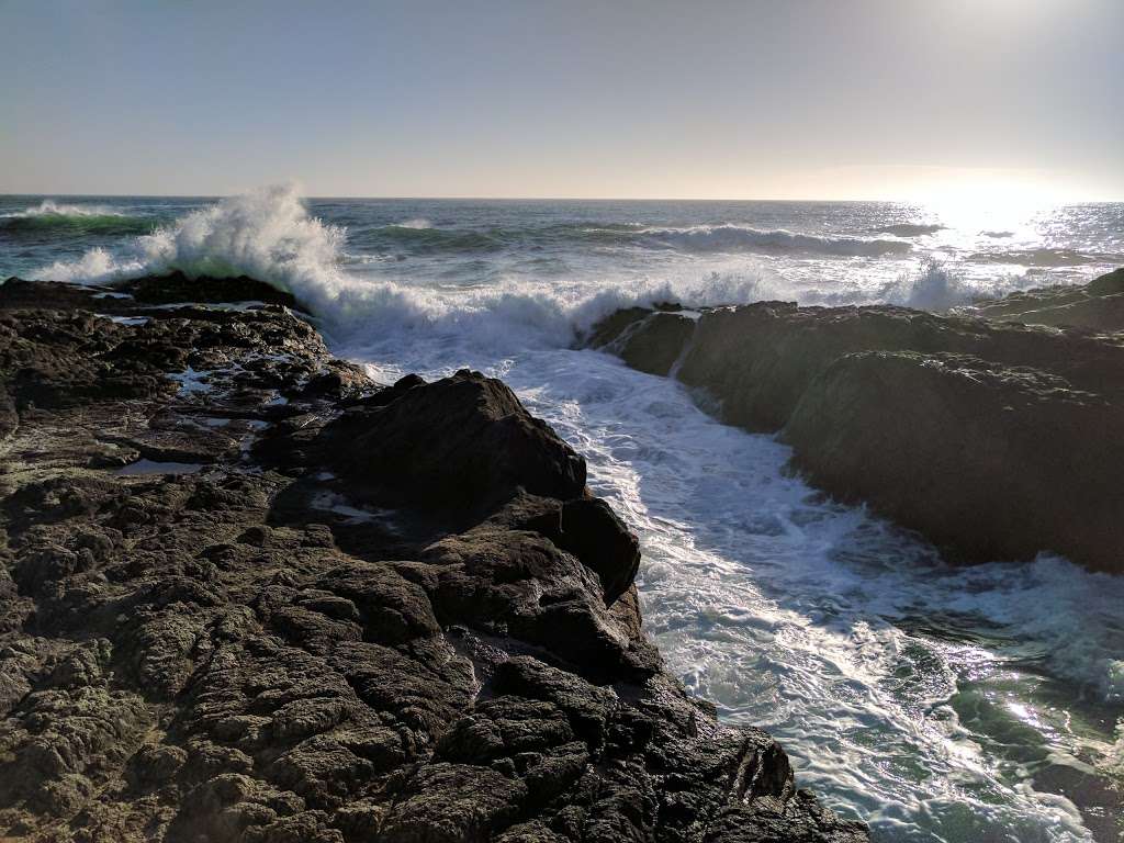 Bodega Bay Trailhead | Bodega Bay, CA 94923, USA