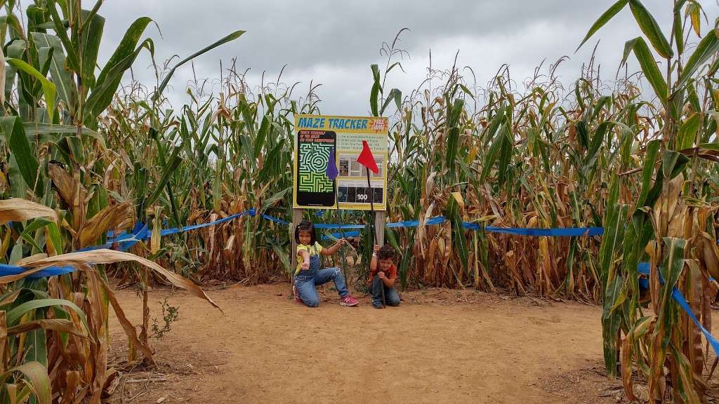 Maize Quest Fun Park | 2885 New Park Rd, New Park, PA 17352, USA | Phone: (866) 935-6738