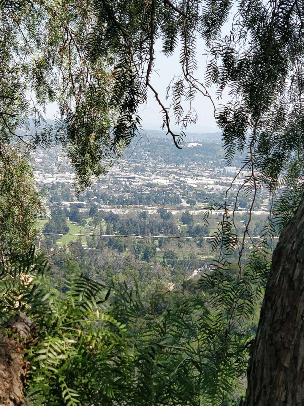 Hollywood Sign Trail | Unnamed Road, Los Angeles, CA 90068