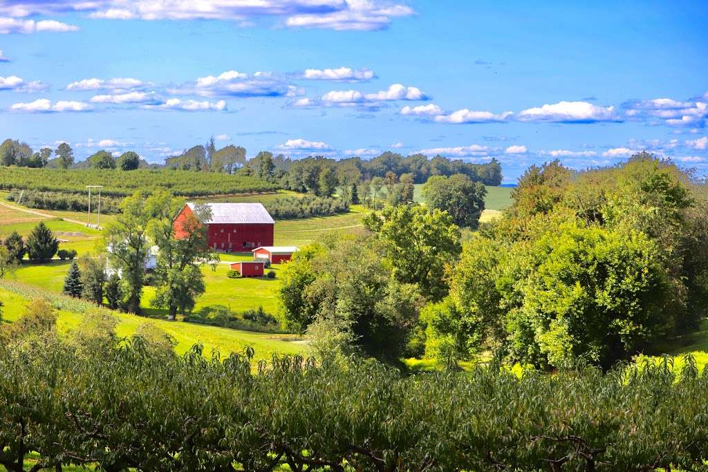 Browns Orchards & Farm Market | 8892 Susquehanna Trail S, Loganville, PA 17342 | Phone: (717) 428-2036