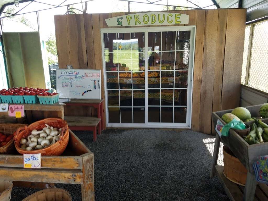 Potomac Vegetable Farms | PVF West Farmstand, 38369 John Wolford Rd, Purcellville, VA 20132, USA | Phone: (540) 882-3885