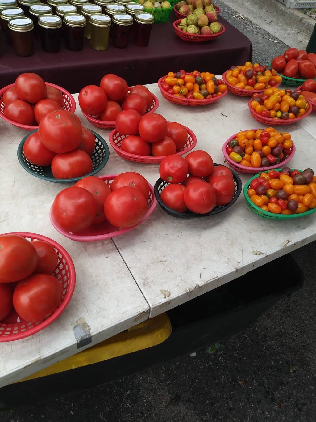 Kingfield Farmers Market | 4310 Nicollet Ave, Minneapolis, MN 55409, USA | Phone: (612) 207-7893