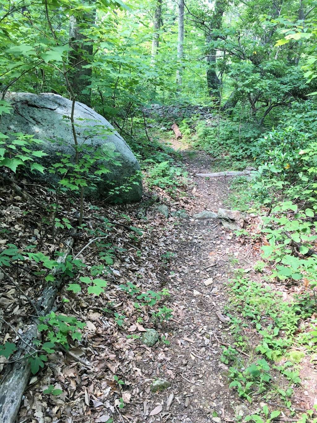 Nicholson Hollow Trail | 3063 State Rte 600, Etlan, VA 22719, USA