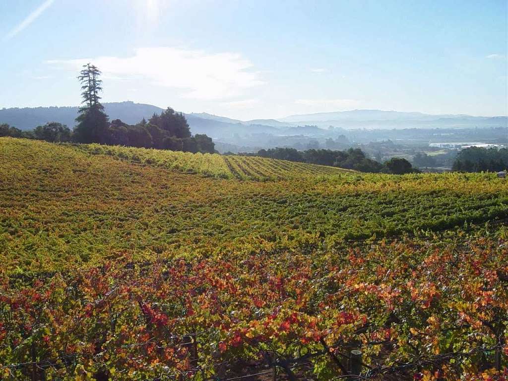 Bargetto Winery | 3535 N Main St, Soquel, CA 95073, USA | Phone: (831) 475-2258