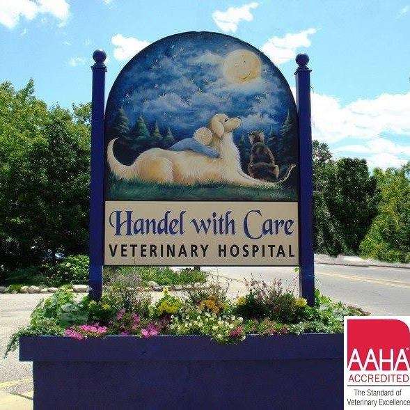 Handle With Care Veterinary Hospital | 33 Crystal Ave, Derry, NH 03038, USA | Phone: (603) 432-1404