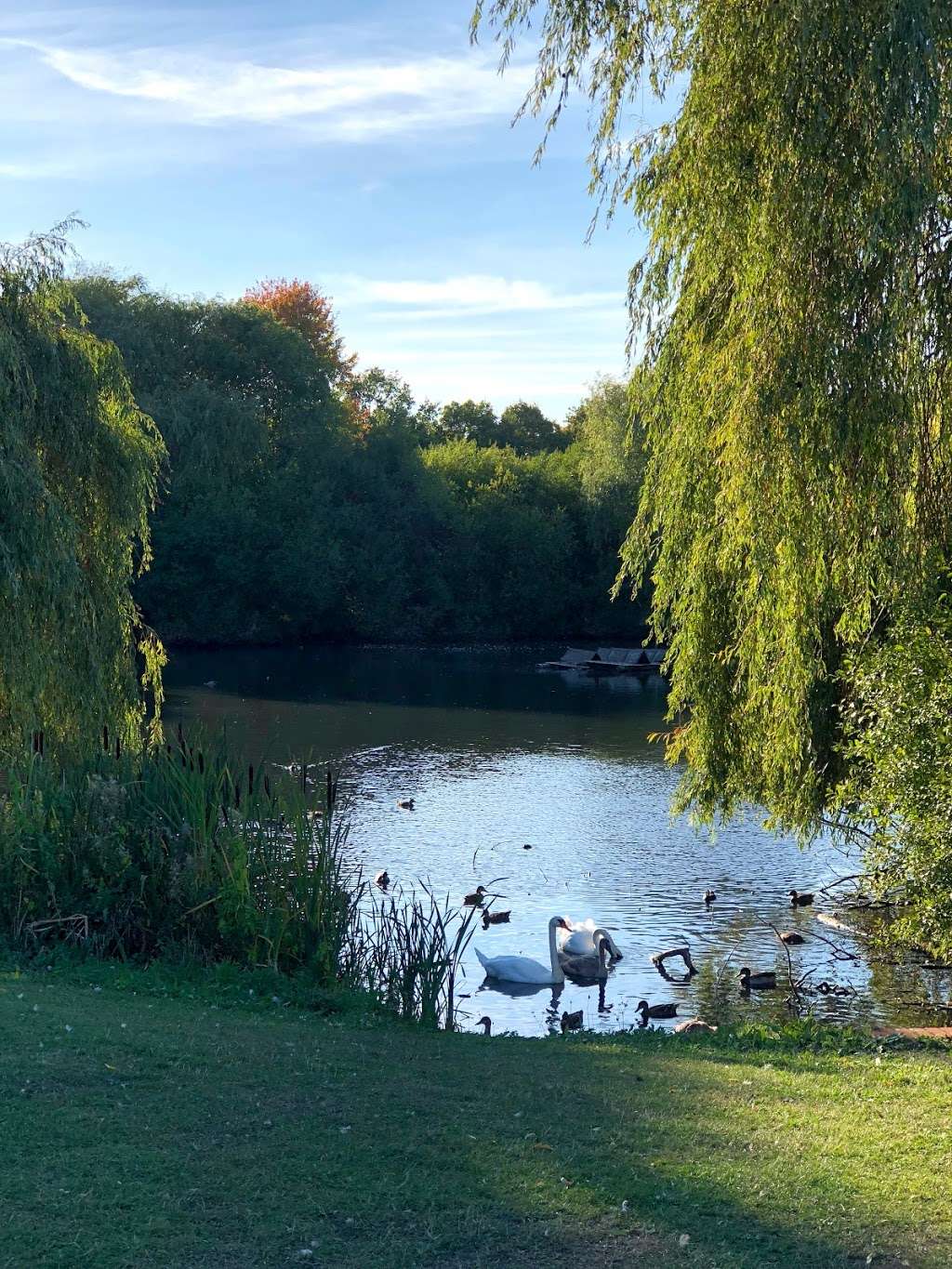 Platford Swan Pond | Hornchurch RM11 2QJ, UK