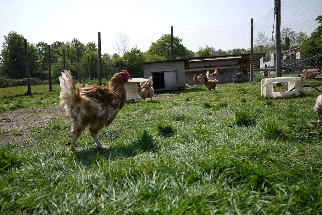 Market Gardens Farm Shop | Riding Ln, Hildenborough, Tonbridge TN11 9HY, UK | Phone: 01732 668160