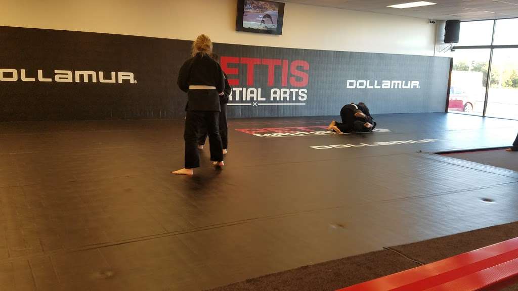 Pettis Martial Arts | 2300 E Layton Ave, St Francis, WI 53235, USA | Phone: (414) 763-6562