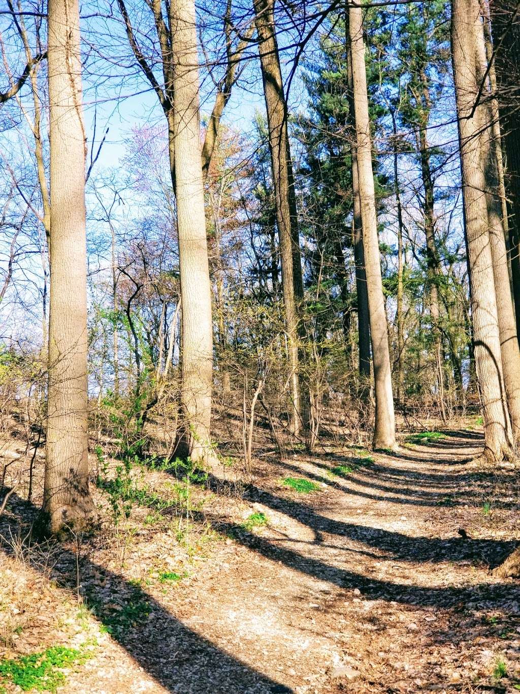 Pennypack Trail Parking Lot | Pennypack Trail, Huntingdon Valley, PA 19006, USA