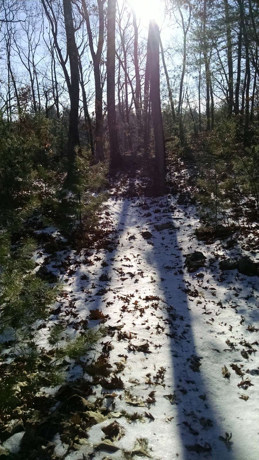 Mill Pond Reservoir & Conservation Area | 70 Winter St, Burlington, MA 01803, USA