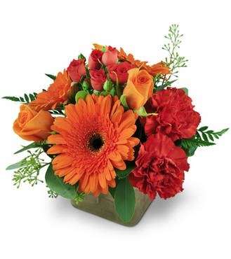 Shickshinny Floral & Gift | 50 W Union St, Shickshinny, PA 18655 | Phone: (570) 542-4520