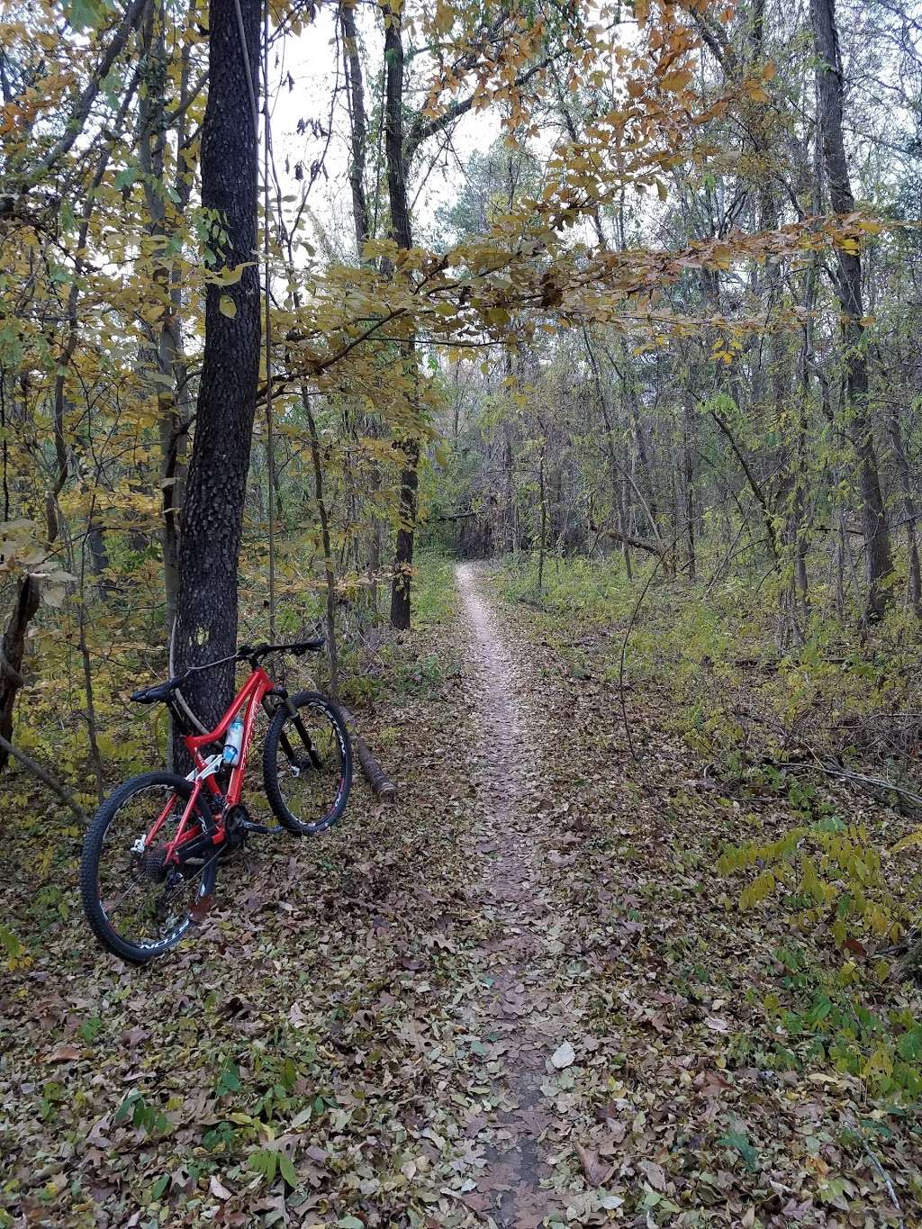 Sherman Branch Mountain Biking Park | 12435 Rocky River Church Rd, Charlotte, NC 28215