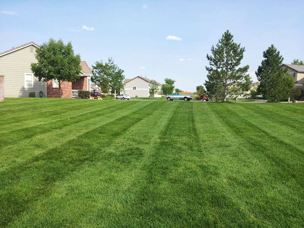 United Property Maintenance | 205, 431 W 84th Ave, Thornton, CO 80260, USA | Phone: (720) 924-1010