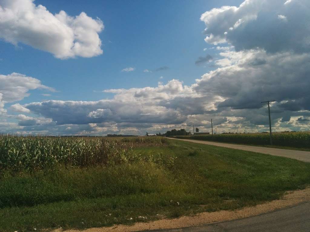 Andy Blackmers Farm Fresh Sweet Corn | Co Rd 12, Kirkland, IL 60146, USA | Phone: (815) 262-2951