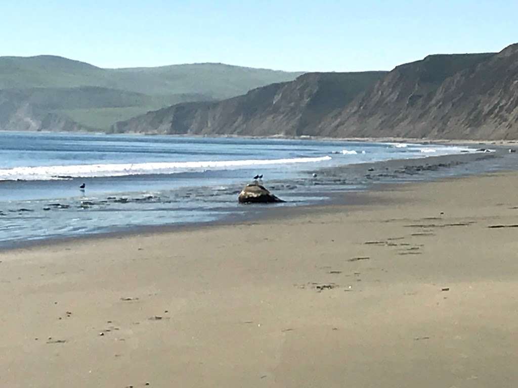 Drakes Beach Bookstore @ Point Reyes National Seashore | Drakes, 1 Drakes Beach Rd, Inverness, CA 94937, USA | Phone: (415) 669-1210