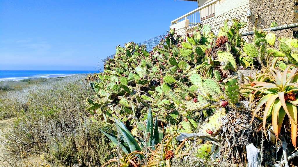 Trestles Surfing Area | California