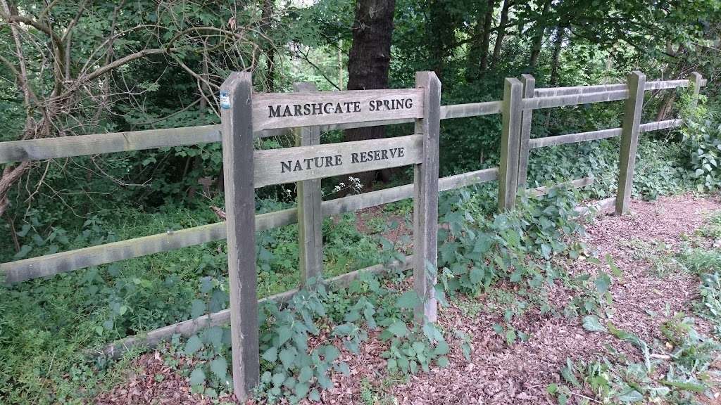 Marshgate Spring Nature Reserve. | Edinburgh Way, Harlow CM20 2SU, UK