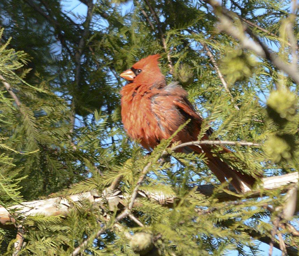 Ellen O. Moyer Nature Park at Back Creek | 7300 Edgewood Rd, Annapolis, MD 21403