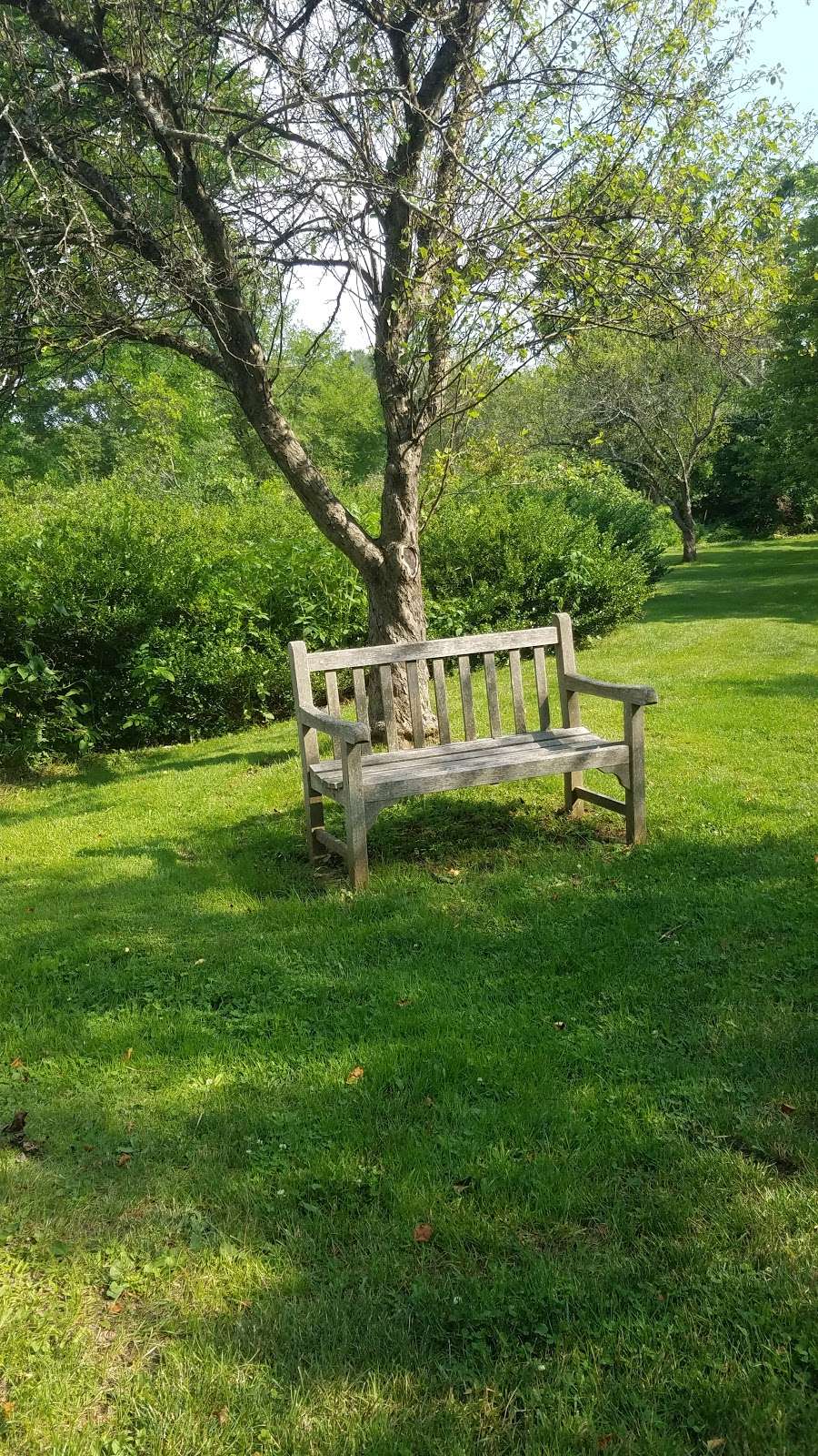 Acton Arboretum | 2 Taylor Rd, Acton, MA 01720, USA | Phone: (978) 264-9631