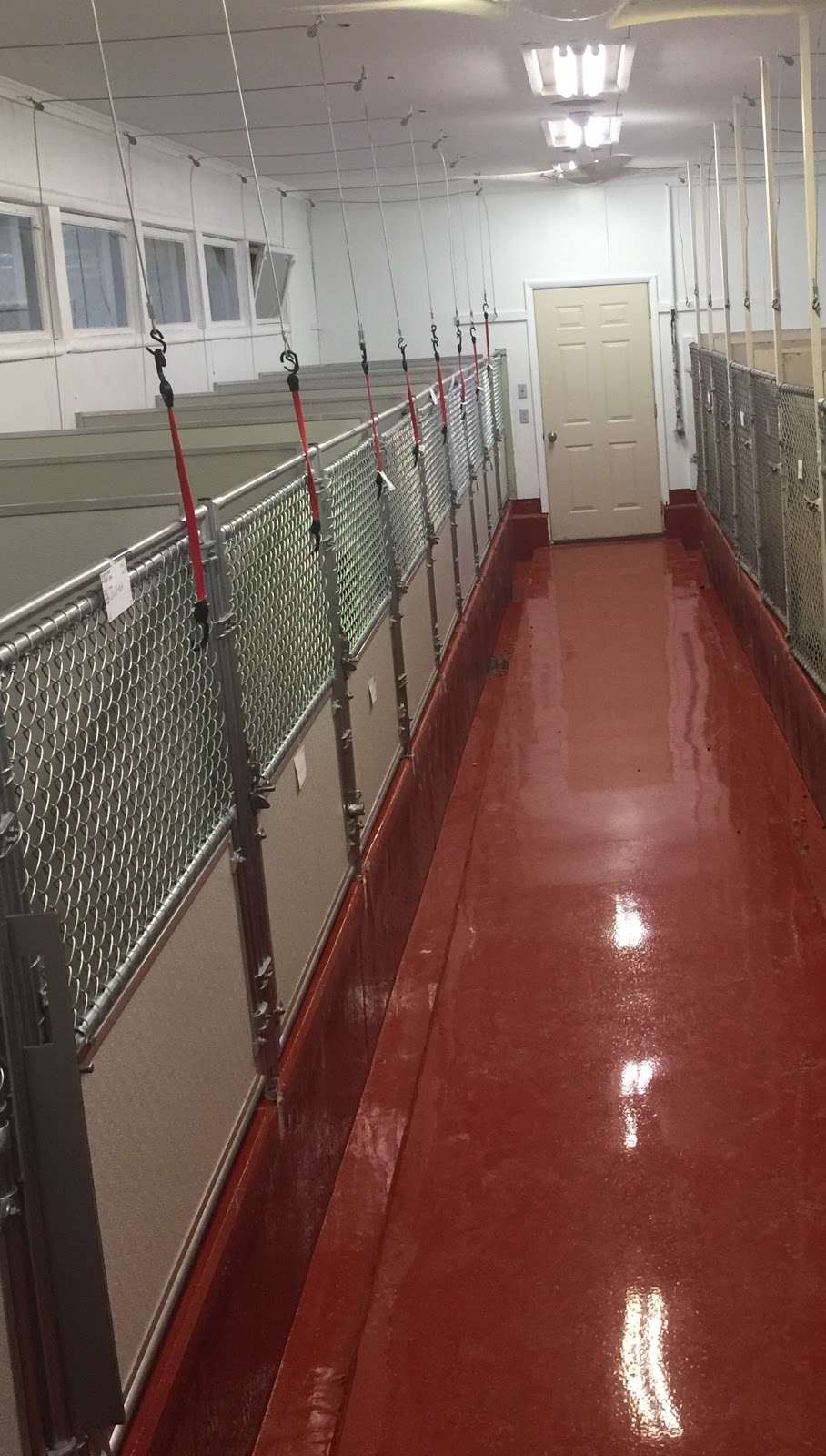 Whispering Winds Kennel and Pet Resort | 4506 S, IL-47, Woodstock, IL 60098, USA | Phone: (815) 337-4920