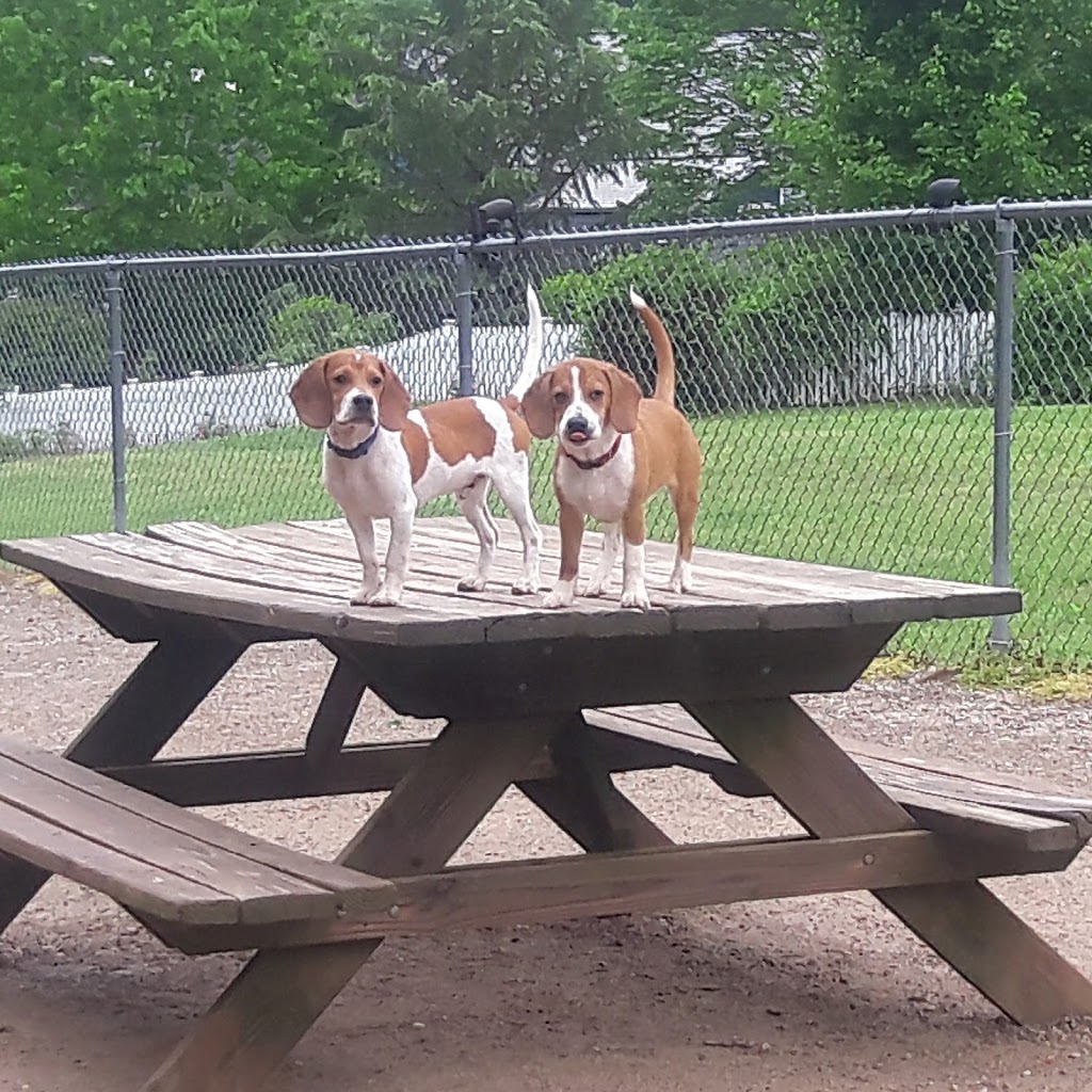 The Preserve Dog Park | 330 OHenry Ave, Davidson, NC 28036 | Phone: (704) 892-3349