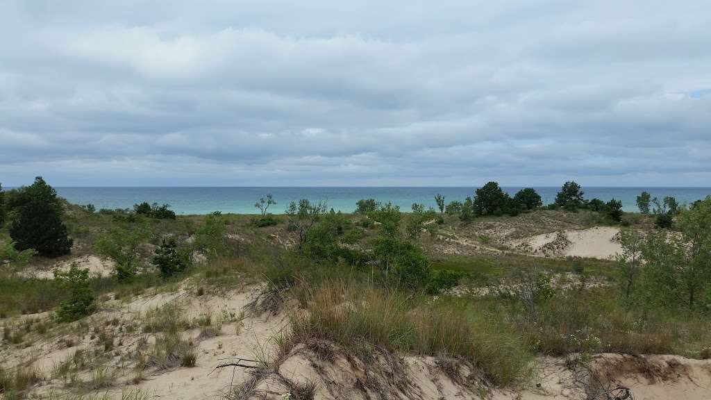 Warren Dunes State Park | 12032 Red Arrow Hwy, Sawyer, MI 49125, USA | Phone: (269) 426-4013