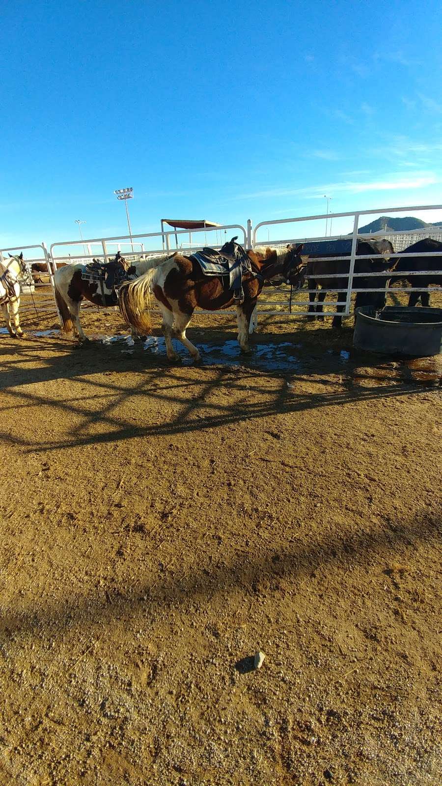 Corral West Horse Adventures | 14401 W Arena Dr #9019, Goodyear, AZ 85338, USA | Phone: (480) 450-2651