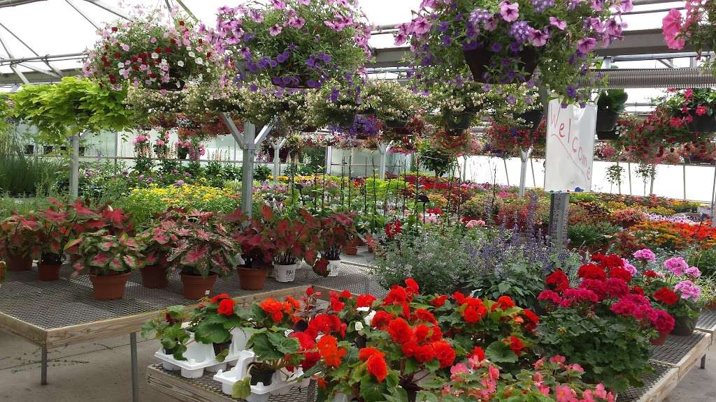 Lovells Flowers, Greenhouse & Nursery | 160 Main St, Medfield, MA 02052, USA | Phone: (508) 359-4191