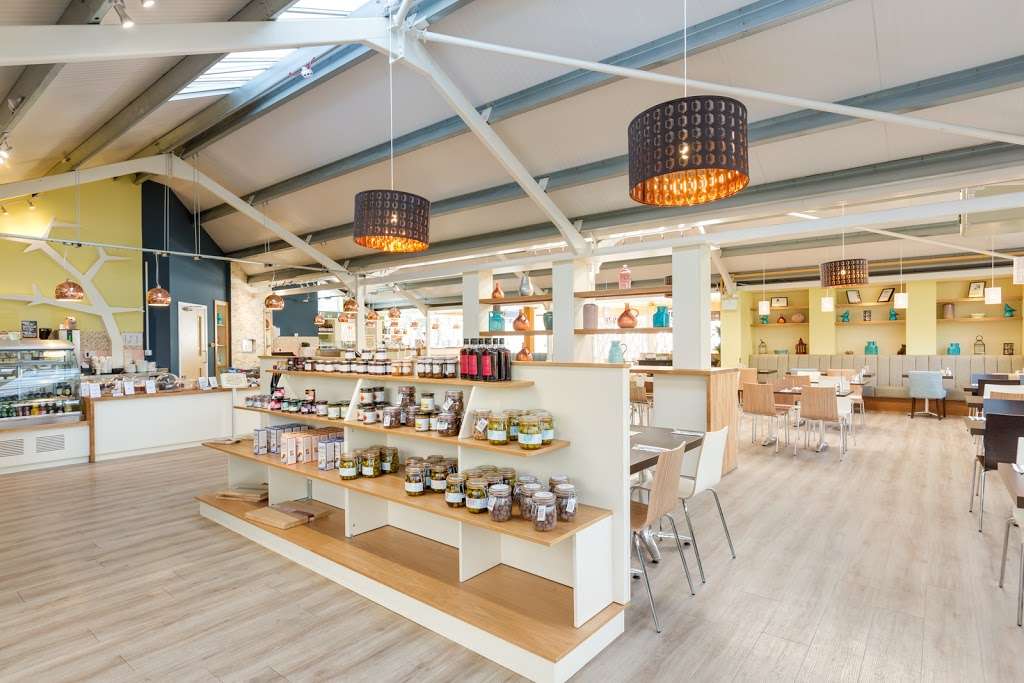 The Olive Tree | 6 Pleasure Pit Rd, Ashtead KT21 1HU, UK | Phone: 01372 271188