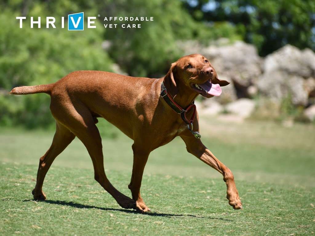 THRIVE Affordable Vet Care | 10245 North Fwy Suite 150, Houston, TX 77037 | Phone: (832) 648-2875