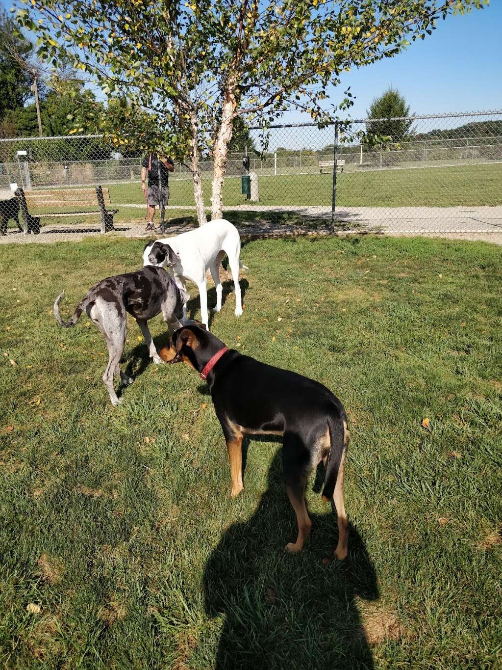 Overlook Dog Park | 2215 Fruitville Pike, Lancaster, PA 17601, USA | Phone: (717) 290-7180