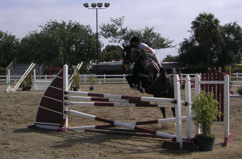 Cheval Training Stables | 905 Arlington Dr, Costa Mesa, CA 92627 | Phone: (949) 291-8921