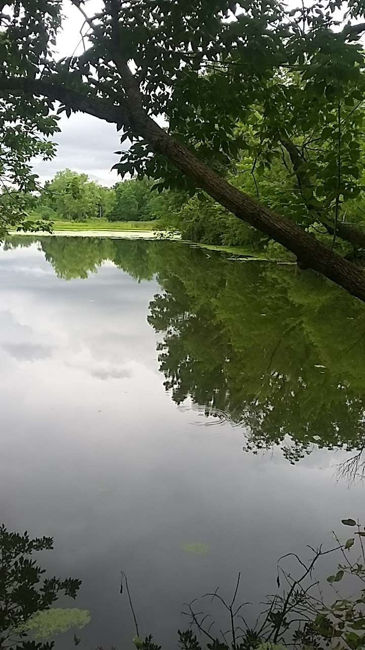 Wallace F. Holladay Nature Preserve | 1380701, Indianapolis, IN 46241, USA