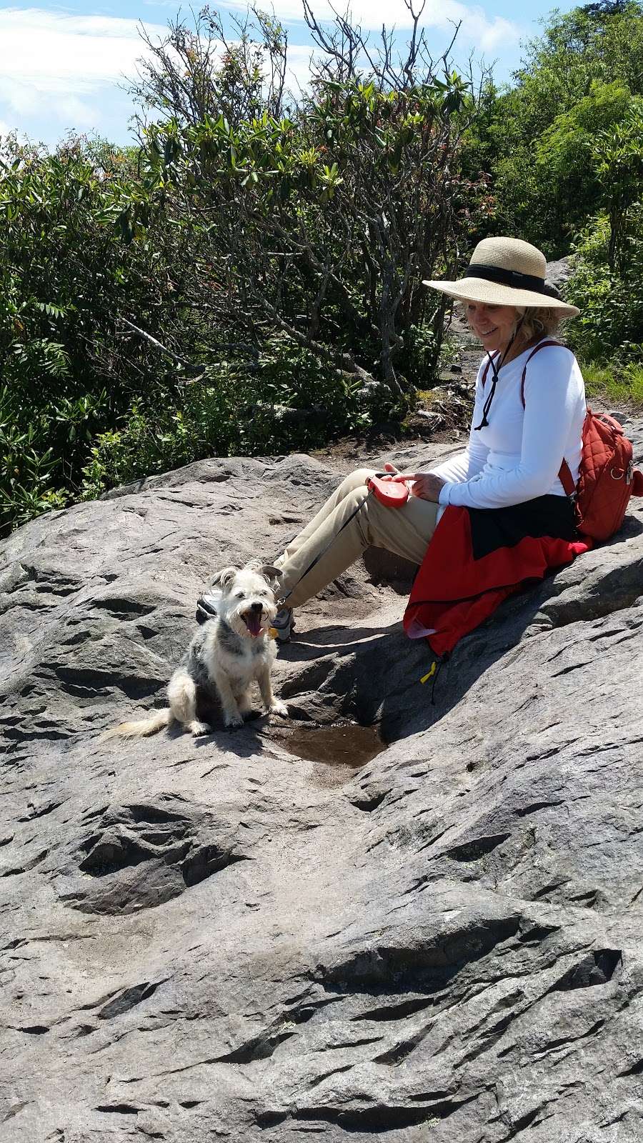 Integrative Mind Body Therapy | 7810 Pineville-Matthews Rd #7, Charlotte, NC 28226, USA | Phone: (704) 771-6251 Integrative Mind Body Therapy | 7810 Pineville-Matthews Rd #7, Charlotte, NC 28226, USA | Phone: (704) 771-6251