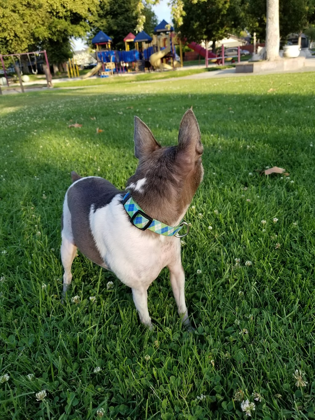 Fremont Park | 1303 Fremont St, Santa Clara, CA 95050, USA | Phone: (408) 615-2260