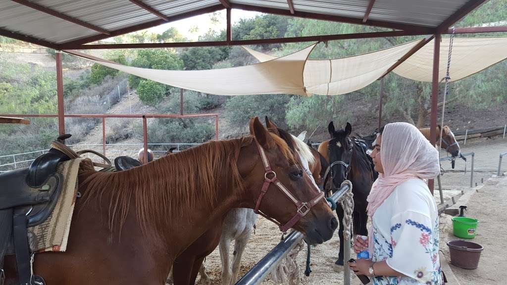 Los Angeles Horseback Riding | 2623 Old Topanga Canyon Rd, Topanga, CA 90290 | Phone: (818) 591-2032