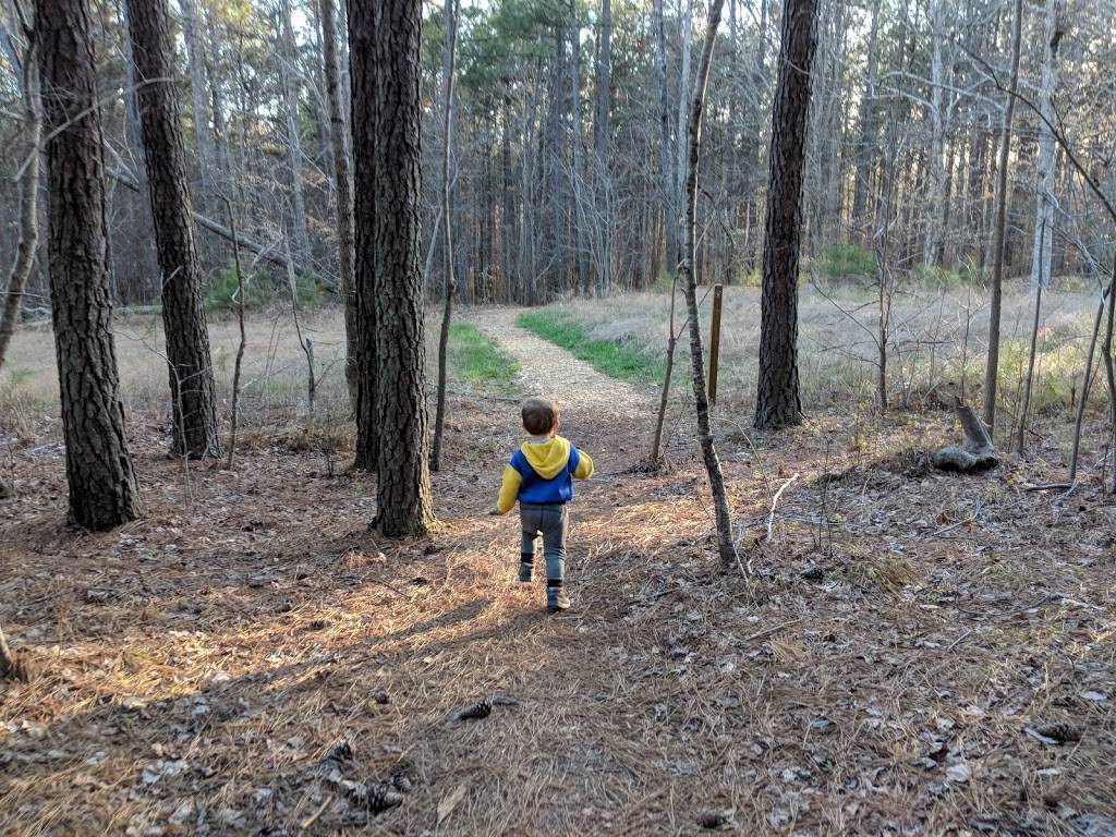 Ledge Creek Forest Conservation Area - Trailhead #1 | 3189 Brogden Rd, Stem, NC 27581, USA | Phone: (919) 496-5902