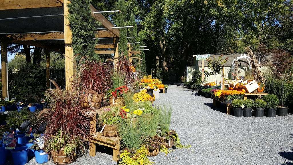 Whartons Garden Center | 35557 Airport Rd, Rehoboth Beach, DE 19971, USA | Phone: (302) 278-7041