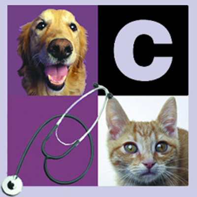 Carter Veterinary Medical Center | 13694 N Meridian St, Carmel, IN 46032, USA | Phone: (317) 844-6868