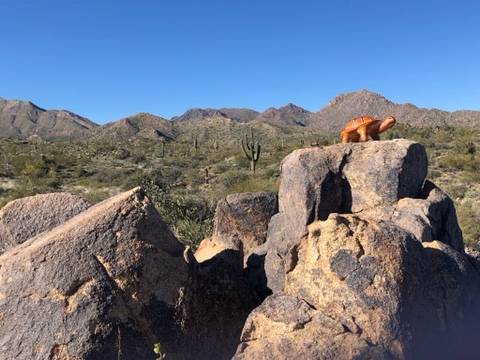 Dixie Mine Trail | 14357 E Desert Tortoise Trail, Fountain Hills, AZ 85268, USA